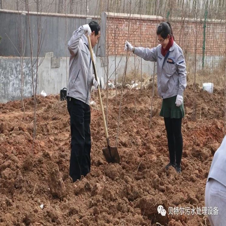 贝特环保开展“积极参加义务植树，建设美丽贝特环保”活动